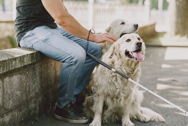 a person sitting with their service animal