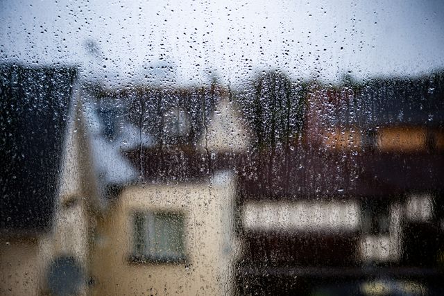 raindrops on a window